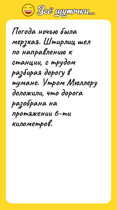 Погода ночью была мерзкая. Штирлиц шел по направлению к станции,