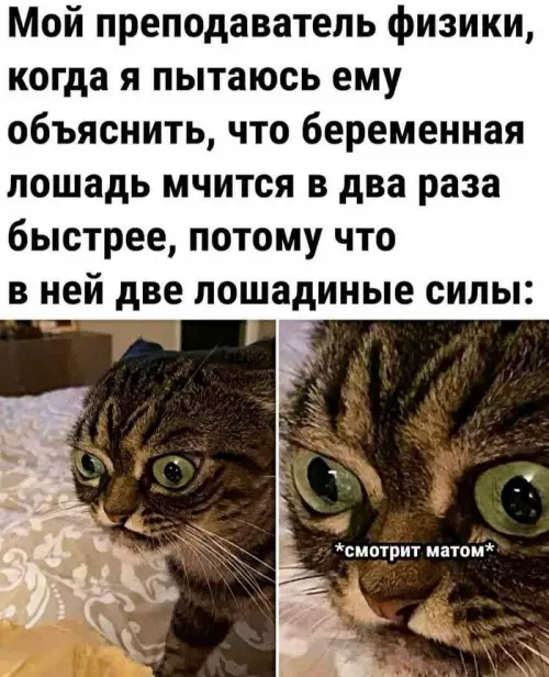 Смешная картинка №704142