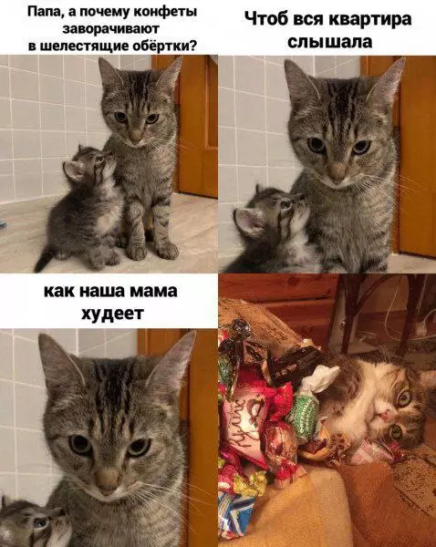 Смешная картинка №726975