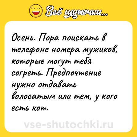 Шутка: Осень. Пора поискать в телефоне номера мужиков, которые могут тебя согреть. Предпочтение нужно отдавать волосатым или тем, у кого есть кот.