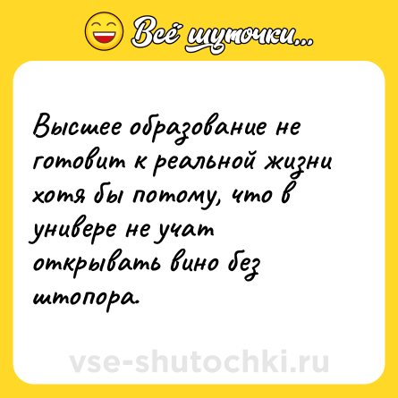 Шутка: Высшее образование не готовит к реальной жизни хотя бы потому, что в универе не учат открывать вино без штопора.