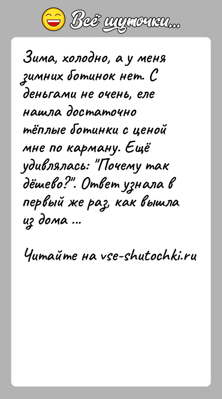 История: Зима, холодно, а у меня зимних ботинок нет. С деньгами не очень, еле нашла достаточно тёплые ботинки с ценой мне