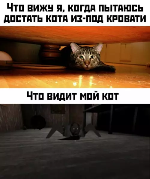 Смешная картинка №409045