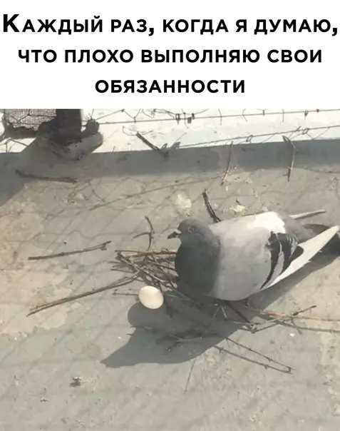 Смешная картинка №566696