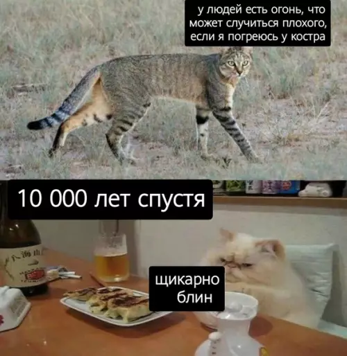 Смешная картинка №496467