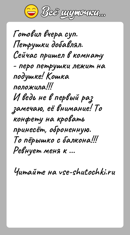 История: Готовил вчера суп. Петрушки добавлял. Сейчас пришел в комнату - перо петрушки лежит на подушке! Кошка положила!!!И ведь не в