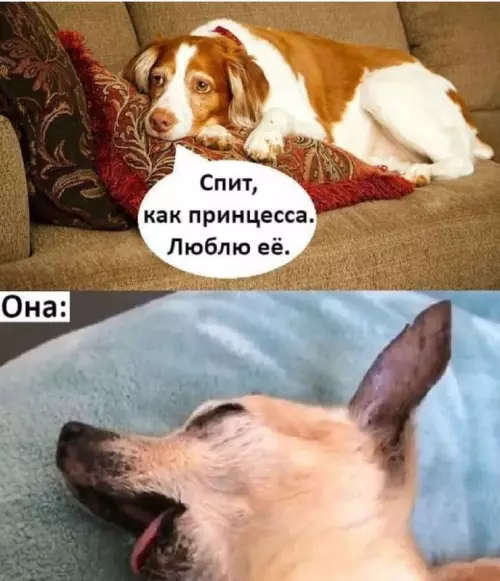 Смешная картинка №706165 Один смех