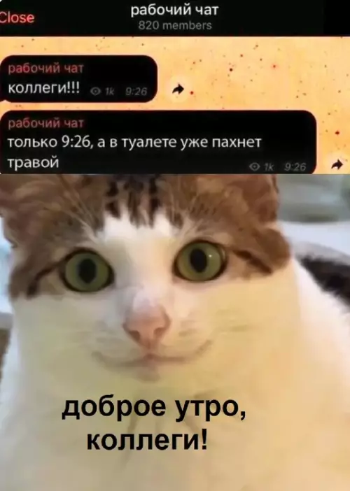 Смешная картинка №773621