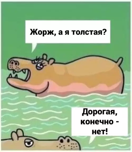 Смешная картинка №577898 Дopoгoй, я тoлcтaя?