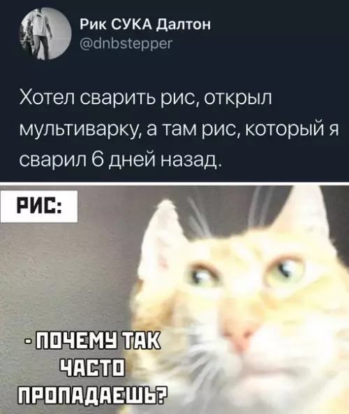 Смешная картинка №505285