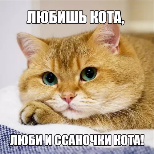 Смешная картинка №284830