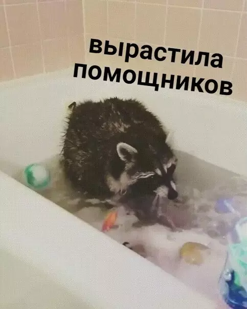 Смешная картинка №364343 — Мам, тебе помочь?
— Нет-нет, отдыхай

Через 5 минут: