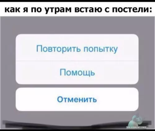 Смешная картинка №320629 утро