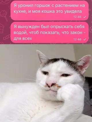 Смешная картинка №704604