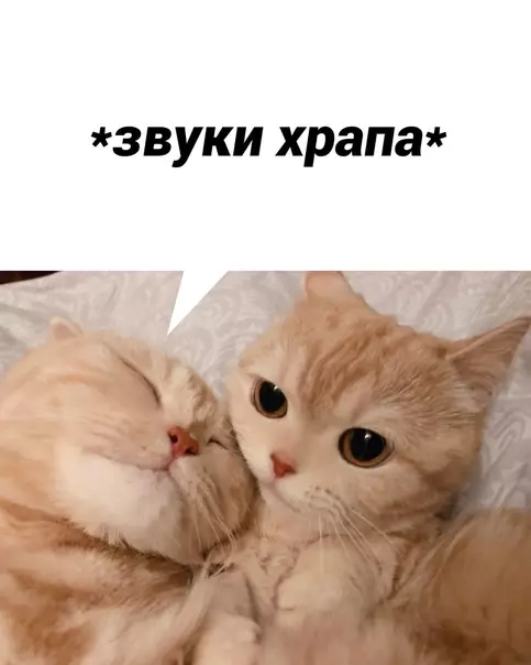 продолжение Смешная картинка №572761