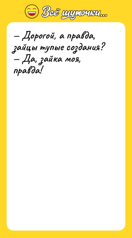 Дорогой, а правда, зайцы тупые создания? Да,
