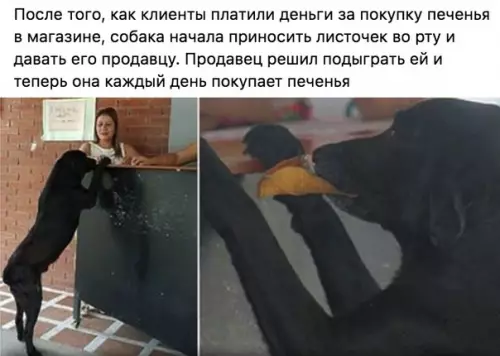 Смешная картинка №292577 Хорошему мальчику можно собаки