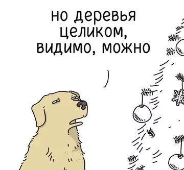 продолжение Смешная картинка №740714