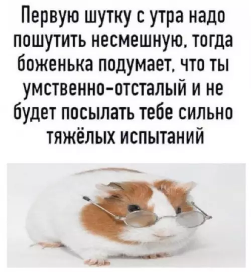 Смешная картинка №752077