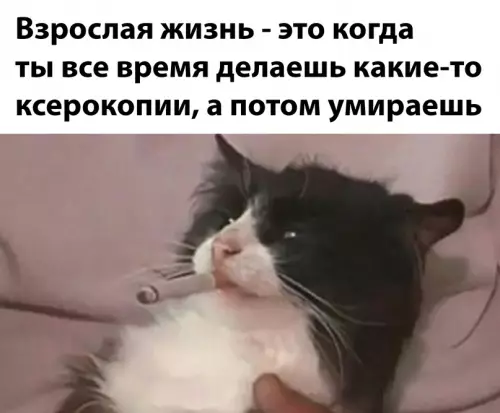 Смешная картинка №662814
