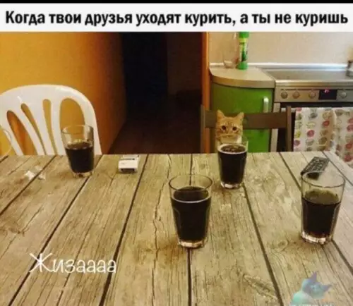 Смешная картинка №315833