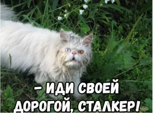 Смешная картинка №243258 Кот-баюн