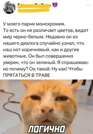 Смешная картинка №786504