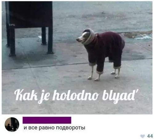 Смешная картинка №232508