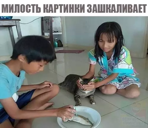Смешная картинка №472412 Какие милашки