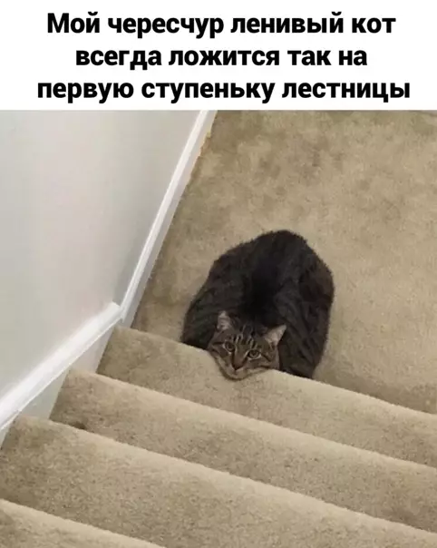 Смешная картинка №540215
