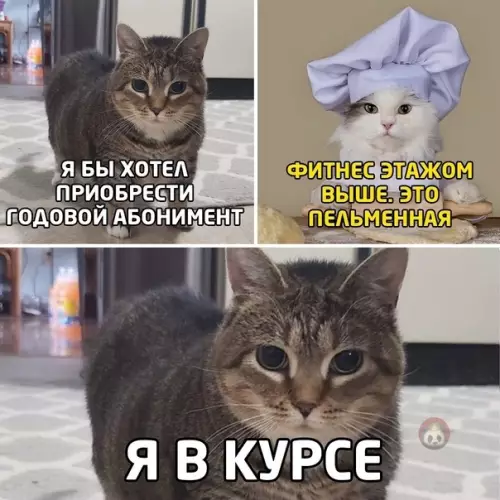 Смешная картинка №539631 Когда ты толстенький и не стесняешься ?