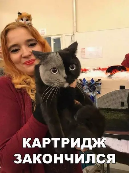 Смешная картинка №239629