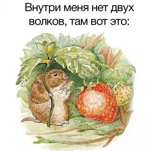 Внутри меня не волки, а кое-что получше! 🍓🐹 - Внутри меня нет двух волков, там вот это: