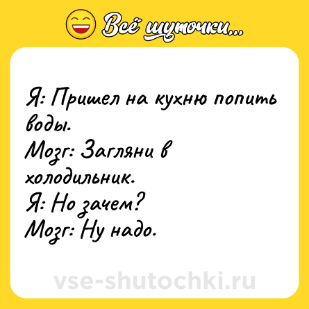 Шутка: Я: Пришел на кухню попить воды.<br>Мозг: Загляни в холодильник.<br>Я: Но зачем?<br>Мозг: Ну надо.