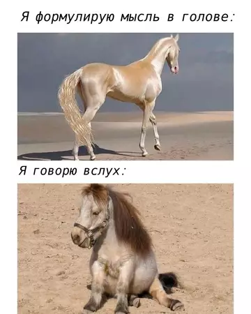 Смешная картинка №737294