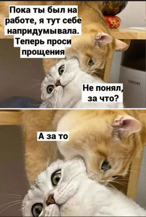 Смешная картинка №693488