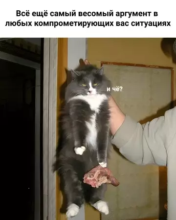 Смешная картинка №735778 И че?