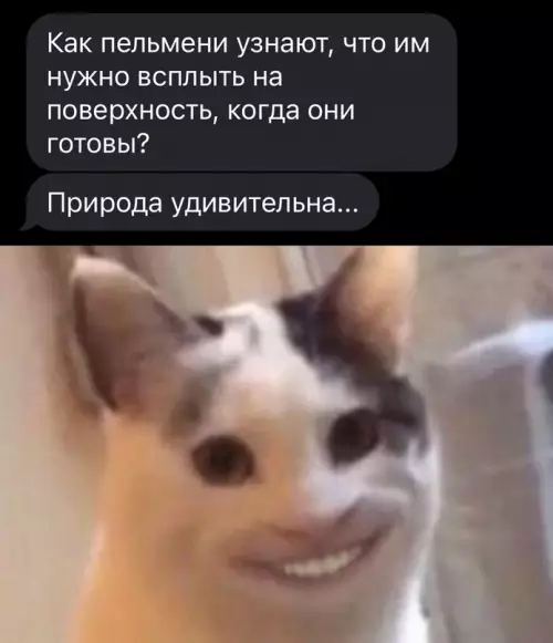 Смешная картинка №664625