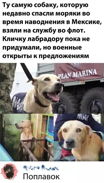 Смешная картинка №538819