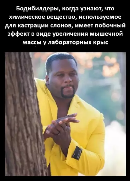 Смешная картинка №815363