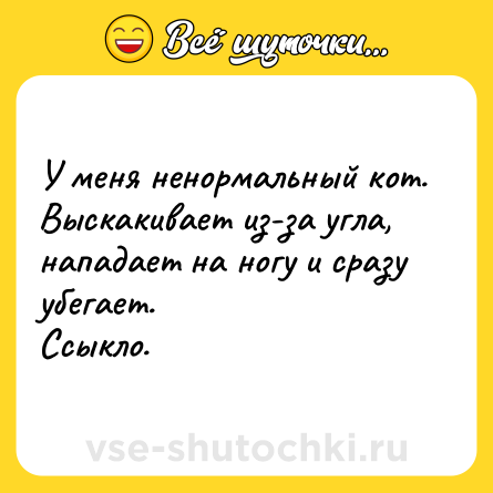 Шутка: У меня ненормальный кот. <br>Выскакивает из-за угла, нападает на ногу и сразу убегает. <br>Ссыкло.