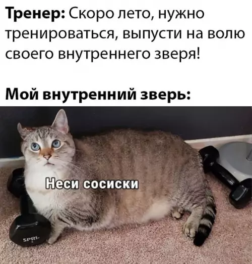 Смешная картинка №473636 Пора садиться на диету)