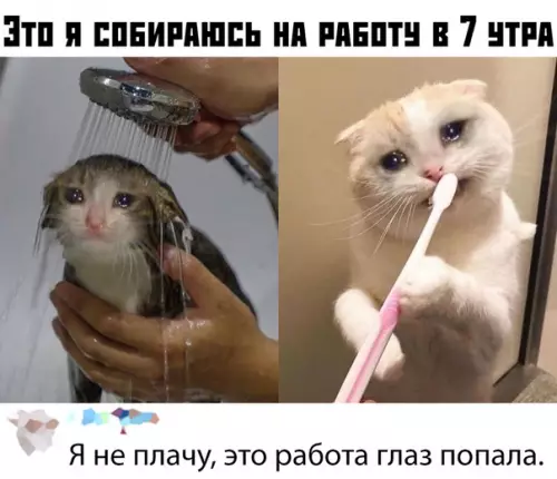 Смешная картинка №382791