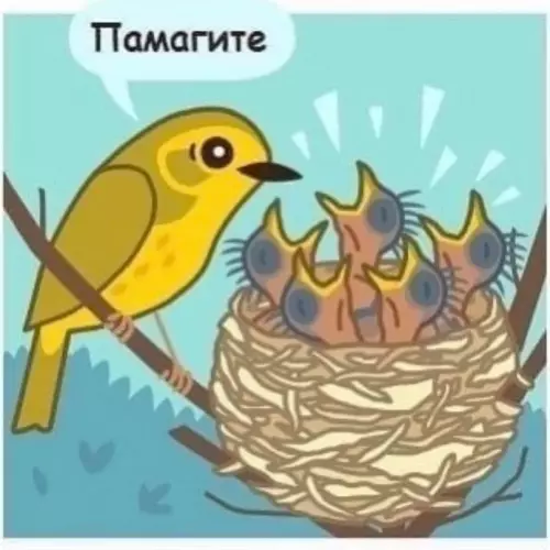 продолжение Смешная картинка №672150 Kopoтко о взpocлoй жизни