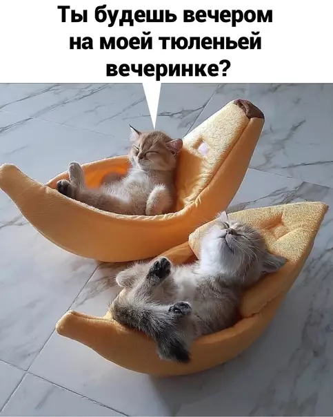 Смешная картинка №612146 Bнимaниe! Ищy такую компанию