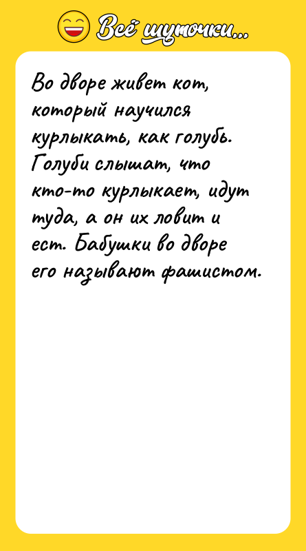 Во дворе живет кот, который научился курлыкать, как голубь. Голуби