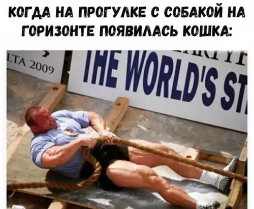 Смешная картинка №282816