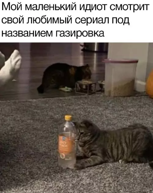 Смешная картинка №702132