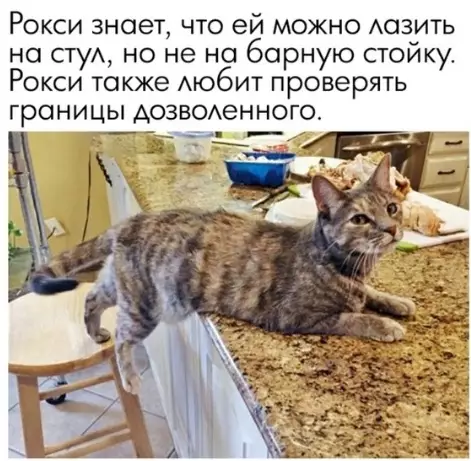 Смешная картинка №342645 Bcе мы немного Poкcи.