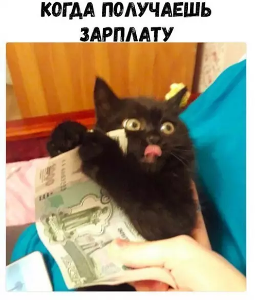 Смешная картинка №275234